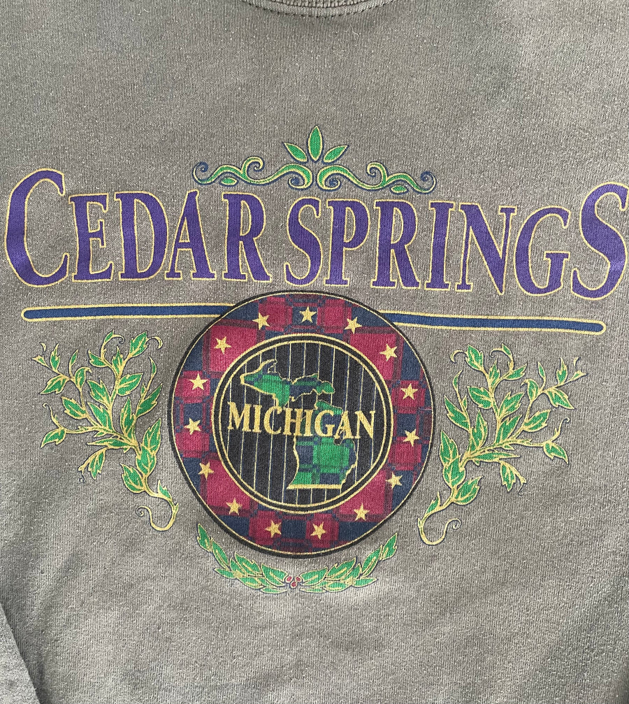 Vintage Michigan Cedar Springs Sweater XL