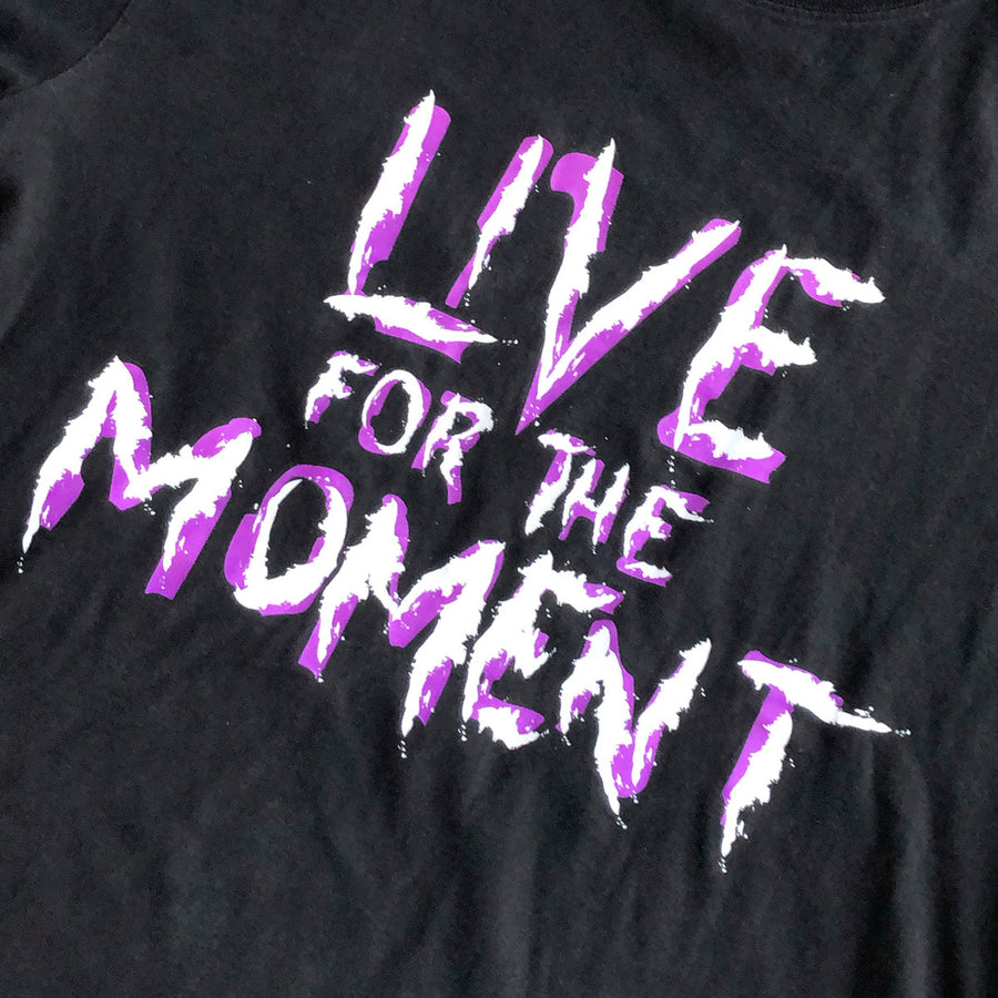 Vintage 2001 WWF Hardy Boyz Live For The Moment Tee L