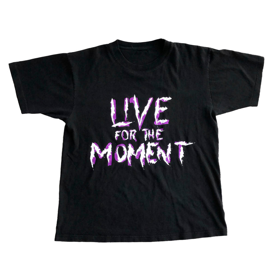 Vintage 2001 WWF Hardy Boyz Live For The Moment Tee L