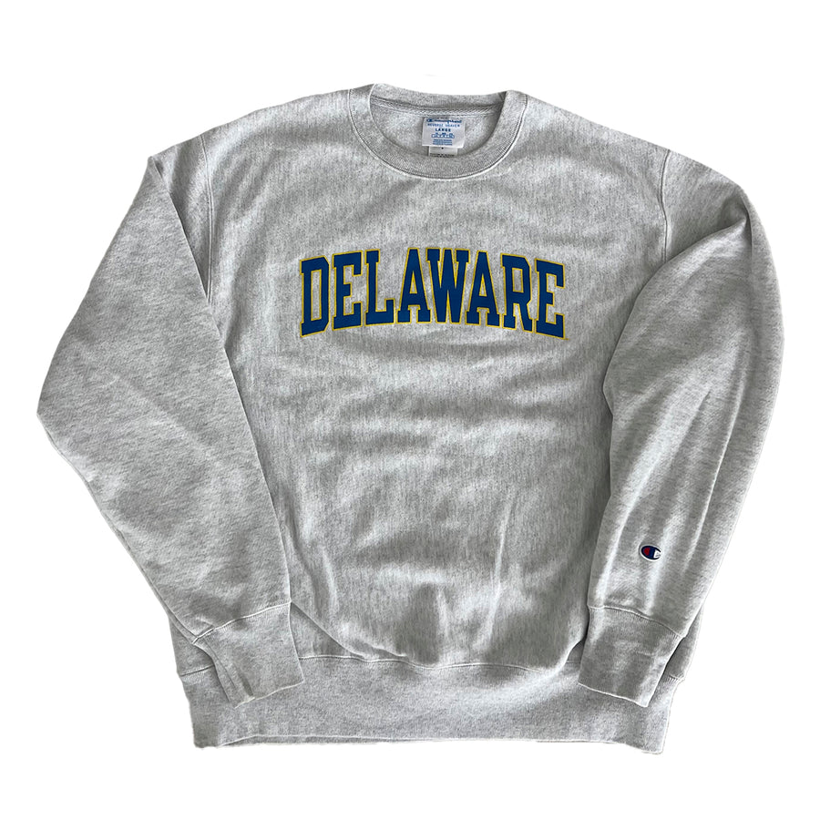 Champion University of Delaware Sweater L