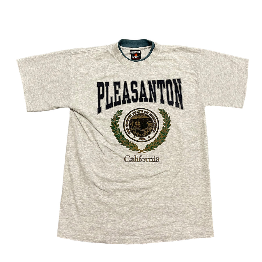 Vintage Pleasanton California Tee L