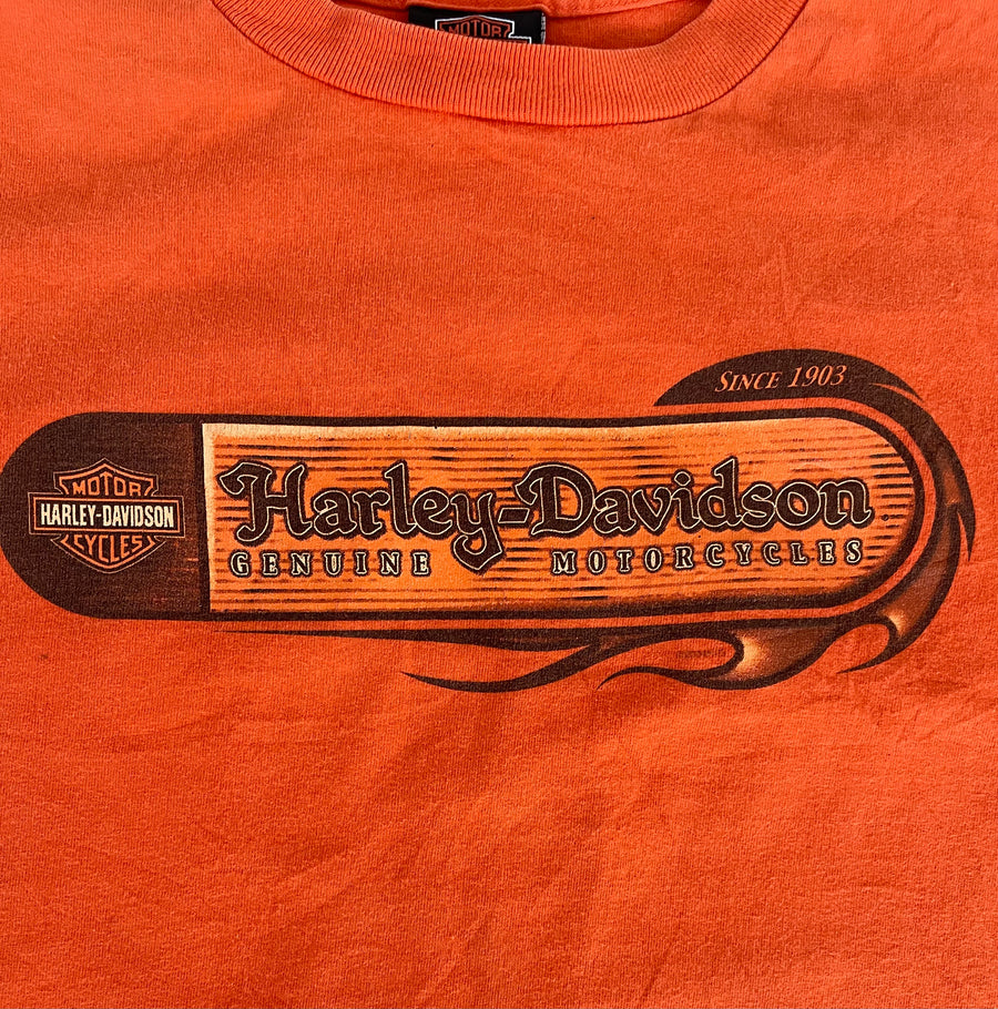 Vintage Harley Davidson Tee M