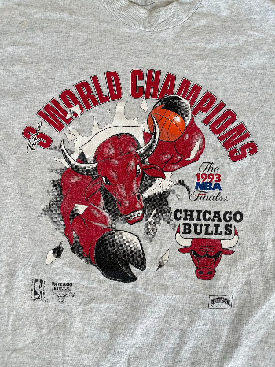 Vintage 1993 Chicago Bulls Finals Tee XL