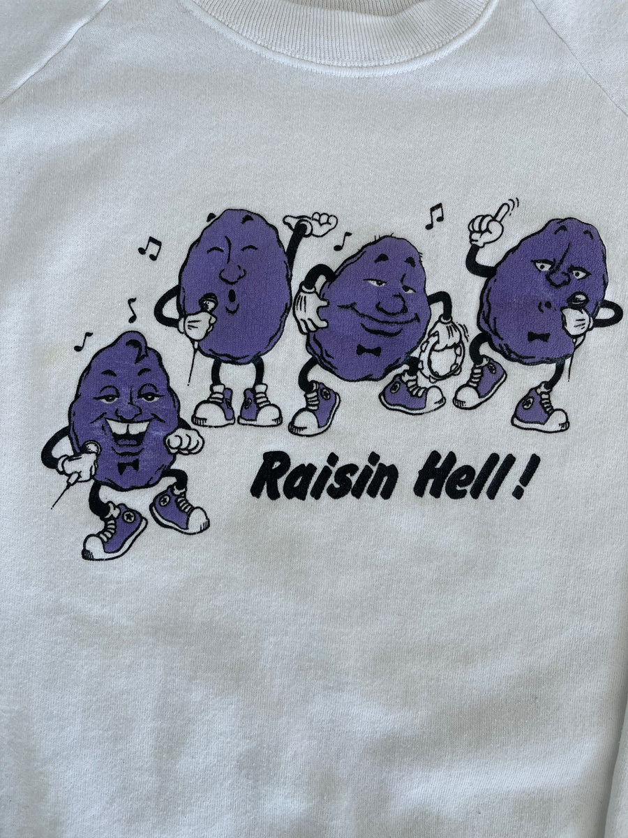 Vintage 80s Raisin Hell Sweater L