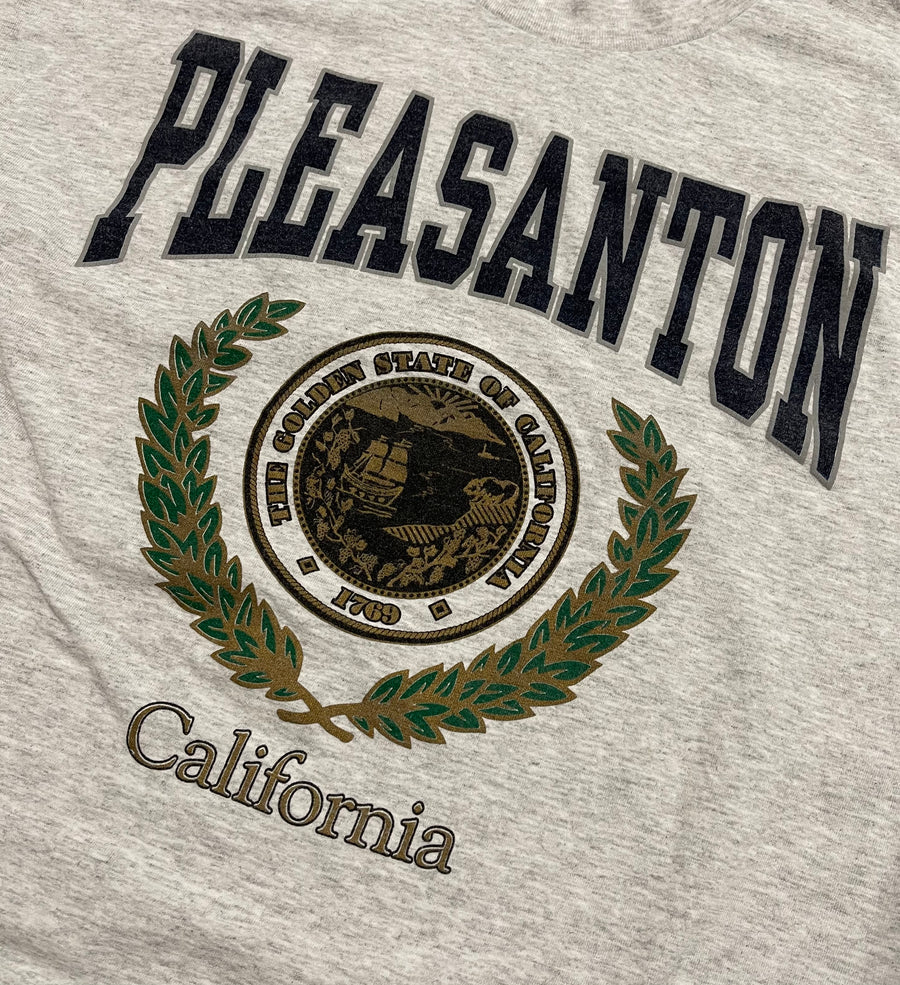 Vintage Pleasanton California Tee L