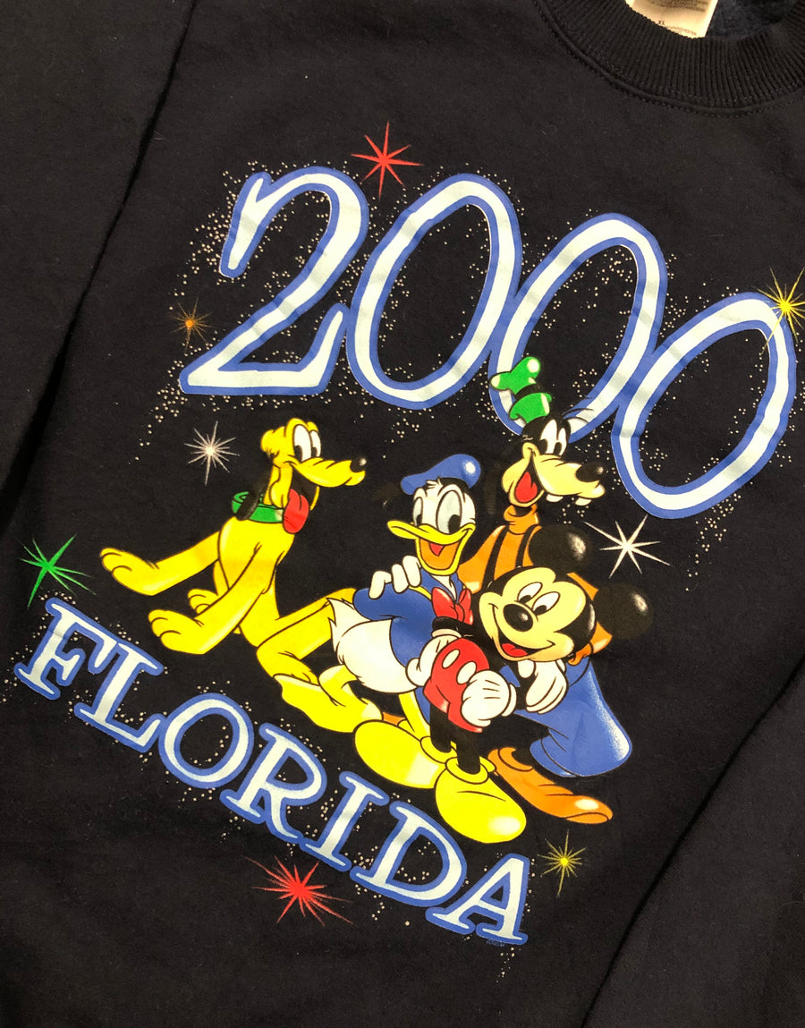 Vintage 2000 Florida Disney Crewneck Sweater L/XL