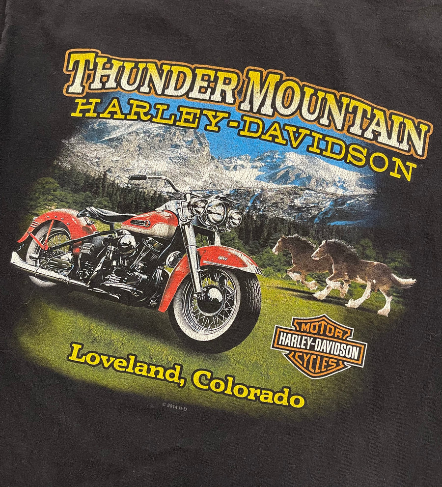 Vintage Harley Davidson Thunder Mountain Loveland Colorado Tee XL